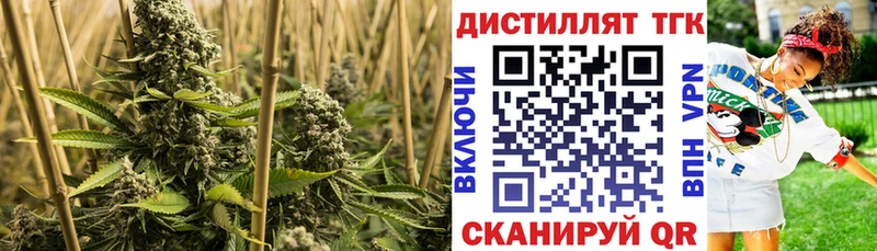 Дистиллят ТГК гашишное масло  Купить  Козьмодемьянск 