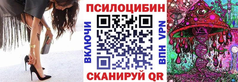 Псилоцибиновые грибы Cubensis  Купить  Козьмодемьянск 